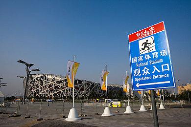 《Under Canopies》Steam页面上线 森林隐居模拟器